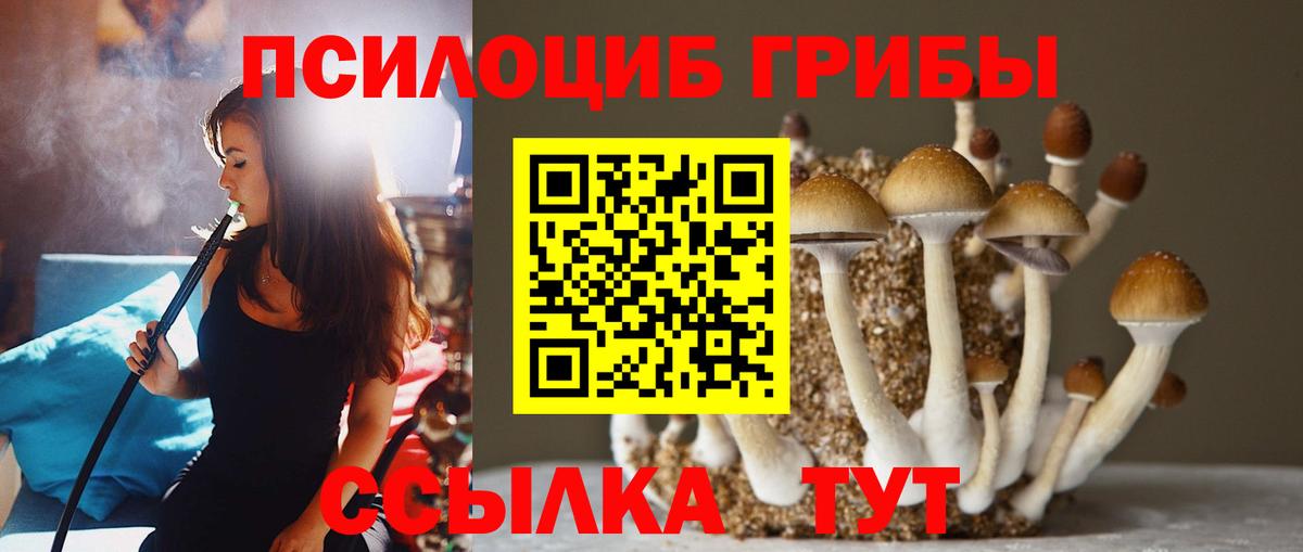 дарнет шоп  Псилоцибиновые грибы MAGIC MUSHROOMS  Пыть-Ях  Вход с VPN  Галлюциногенные грибы мухоморы 